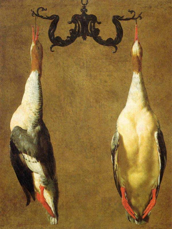 Dandini, Cesare Two Hanged Teals oil painting picture